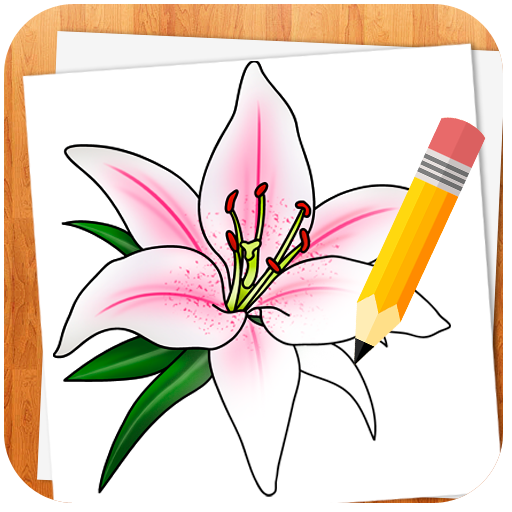 How to Draw Flowers