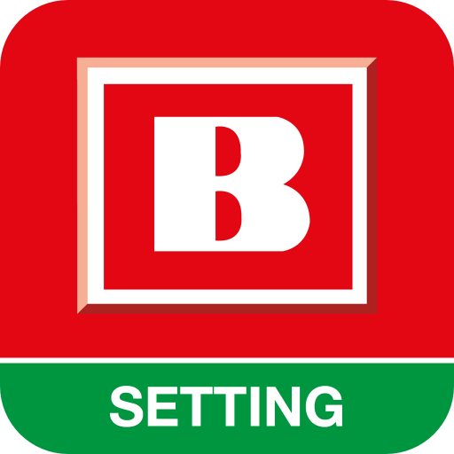 BERGMANN Setting