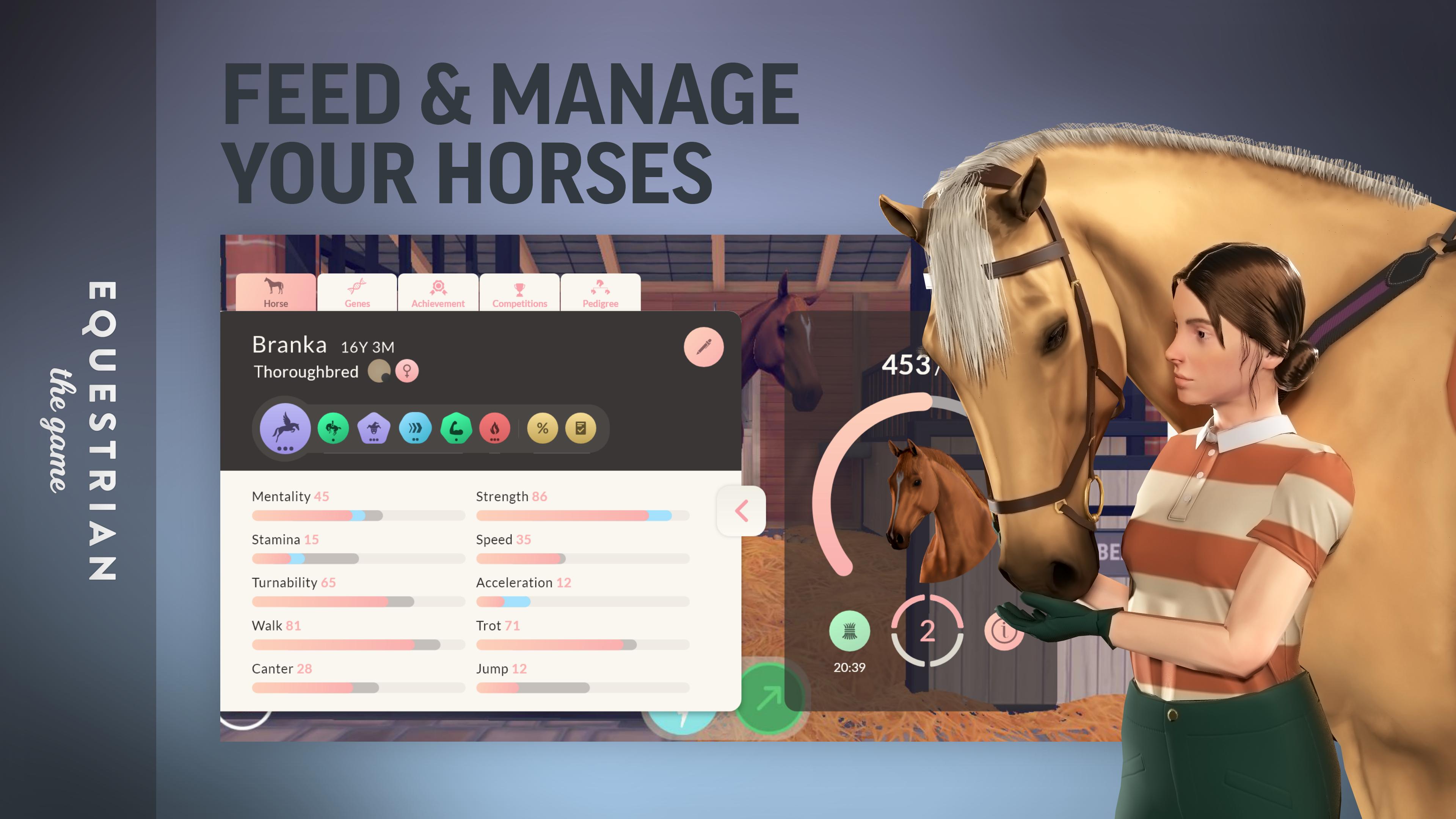 Скачать Equestrian the Game на ПК | Официальный представитель GameLoop