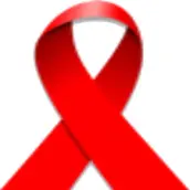 HIV e-DQA