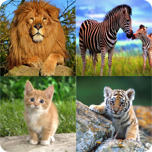 تعلم اسماء الحيوانات