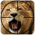 Hunting Lion Hunter 2016