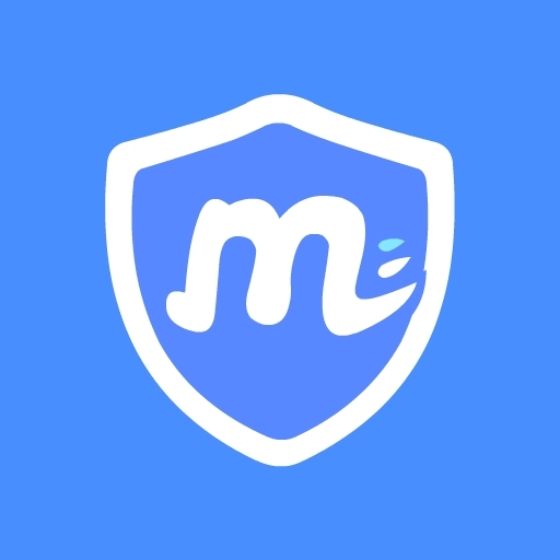MetroVPN: Fast & Private VPN