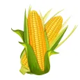 CropWISE