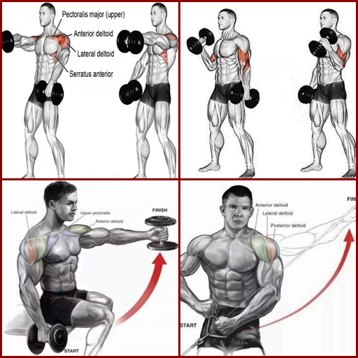 bodybuilding muscle training t