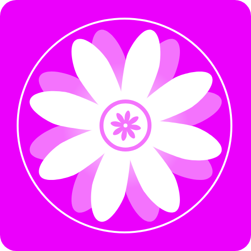 Galeri - Fotoğraf Düzenleyici