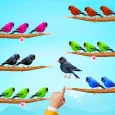 Bird Sort Color Puzzle Master