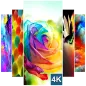 Colorful Wallpaper (4K Ultra HD)