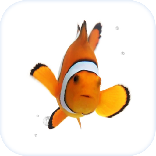 Fish Live Wallpaper Theme HD