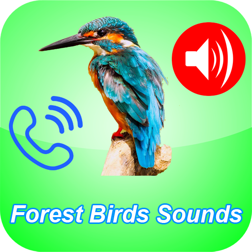 Birds Songs As Phone Ringtone