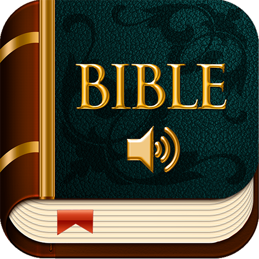 KJV Audio Bible offline