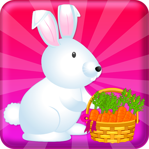 Pet Care Cute Bunny Animal