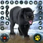 черная пантера: жизнь животных