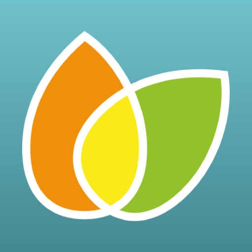 Diposmobile IV Kurumsal