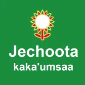 Oromo Motivational Qoutes