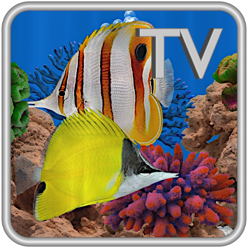 Butterfly Fish Aquarium TV