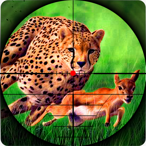 Cheetah Hunter 2016