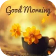 Everyday Wishes & Blessings