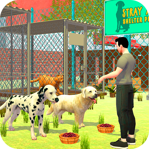 Animal Shelter Pet Dog Rescue