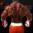 Virtual Boxing 3D Game Fight