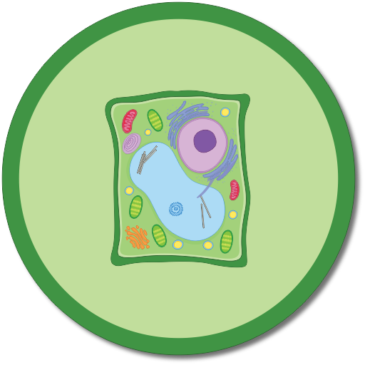 Plant Cell