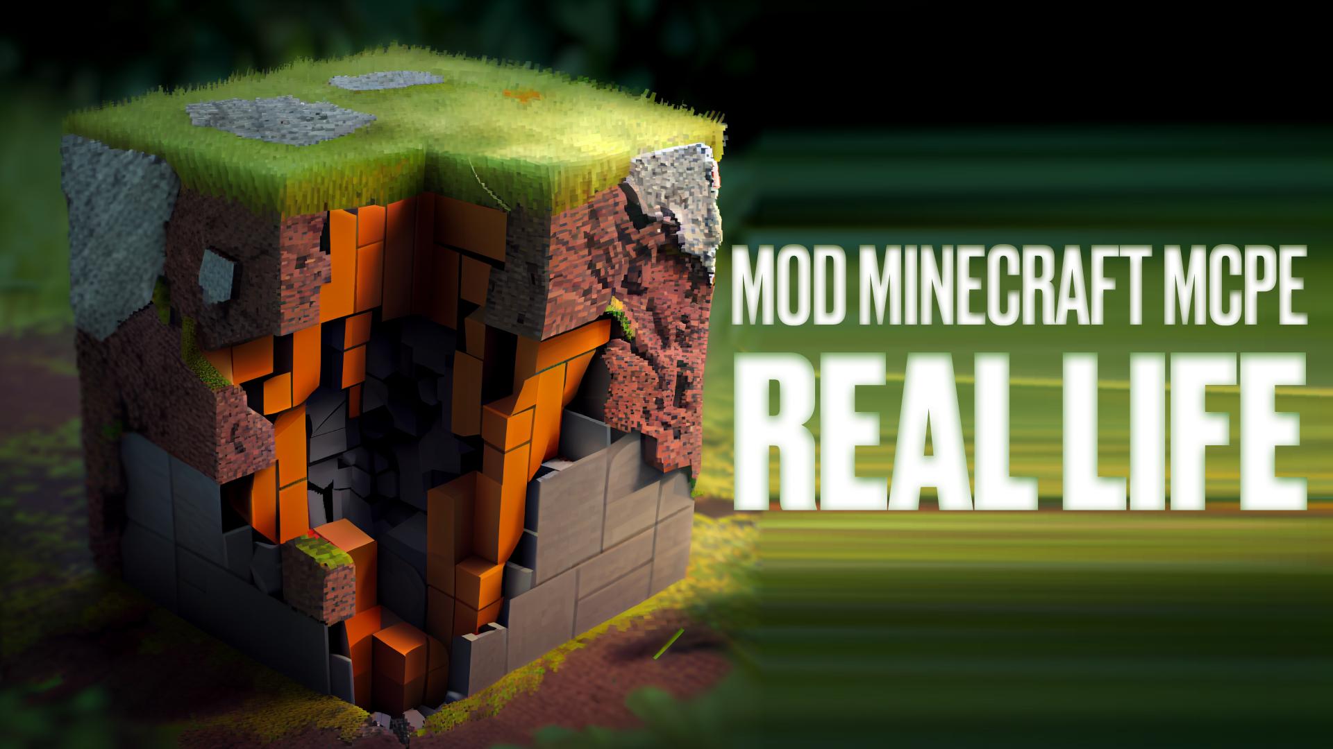 Real life minecraft