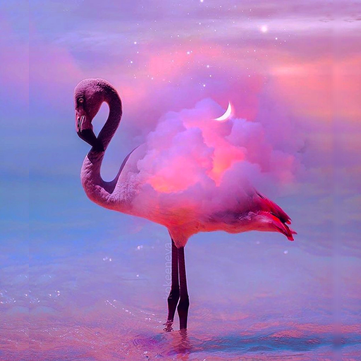 Flamingo Wallpaper