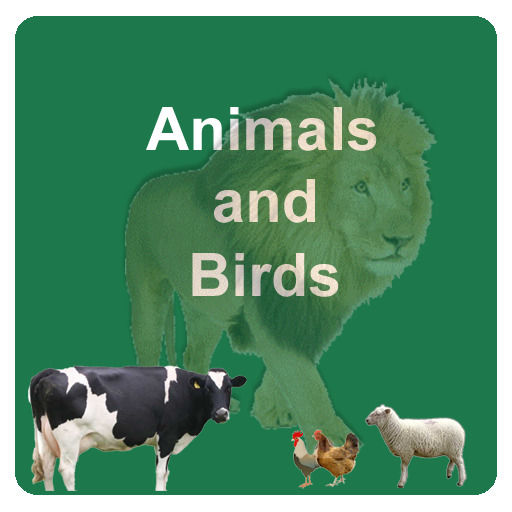 Learn Animals and Birds in Eng