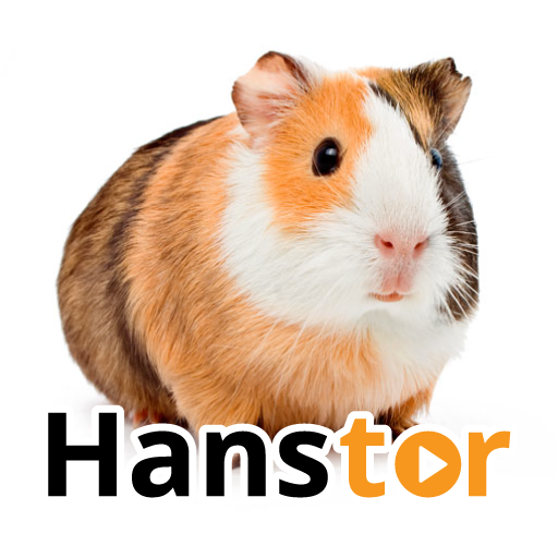 Hanster Video