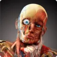3D Human Anatomy Atlas Physiology: Internal Organs