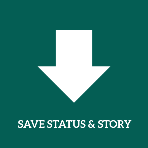 Story & Status Saver App
