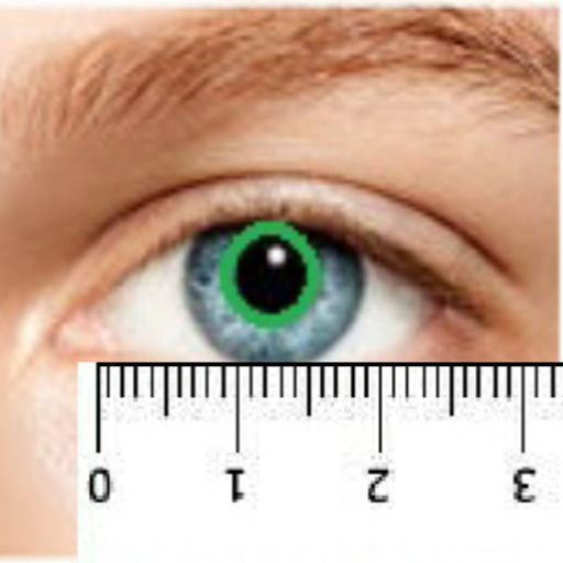 Pupilometer