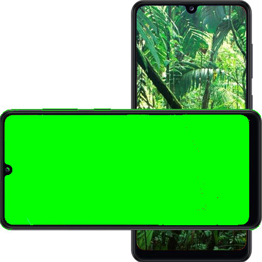 cool green screen for zoom