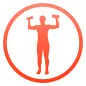 Daily Arm Workout - Trainer