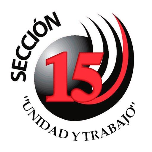 Sección 15