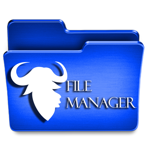 File manager