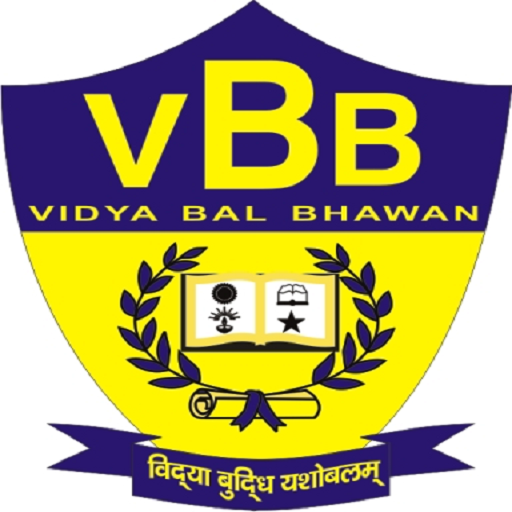 Vidhya Bal Bhawan School Delhi