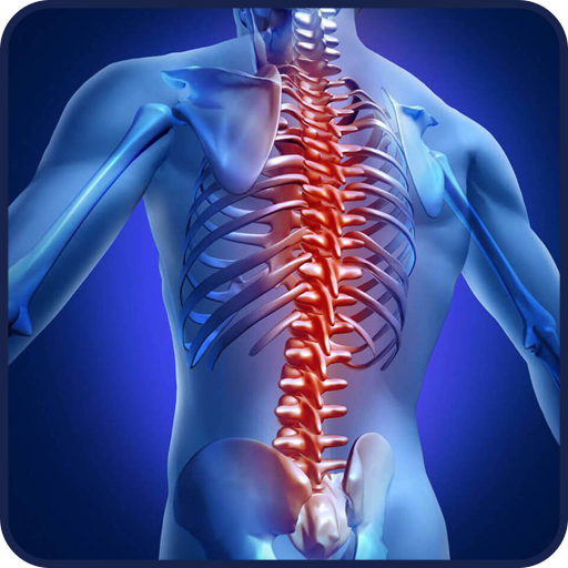 Spine exercises