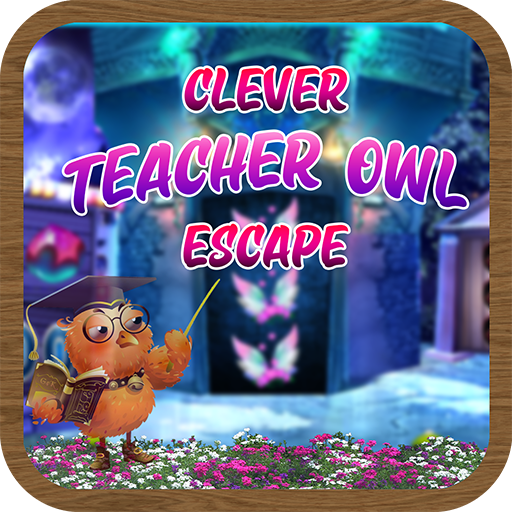 Clever Teacher Owl Escape - JR