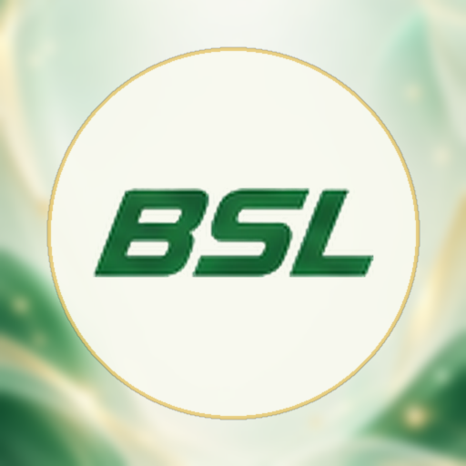 BSL Card: Secure VPN