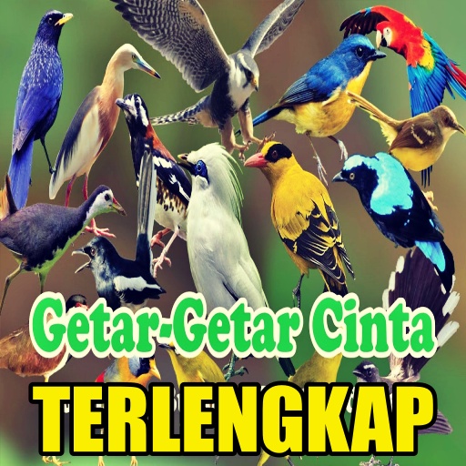 1000+ Suara Kicau Burung MP3