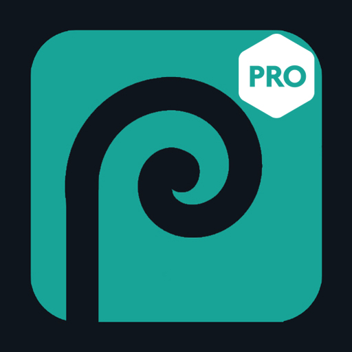 Photopea Pro