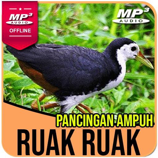 Suara Pemikat Ruak Ruak Ampuh