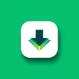 Video downloader