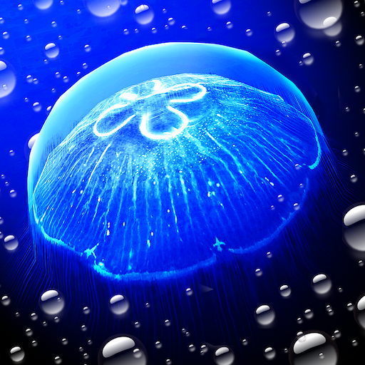 Jellyfish -  Appreciation