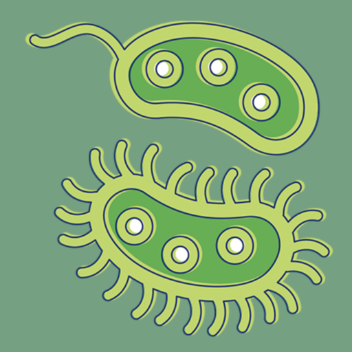 Bactérias: Tipos, Infecções