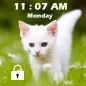 Kitty Cat Password Lock Screen