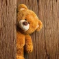 Teddy Bear Wallpapers