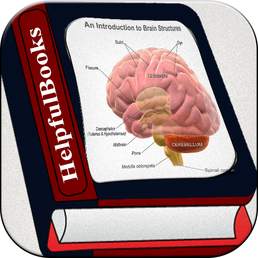 Brain E-Books