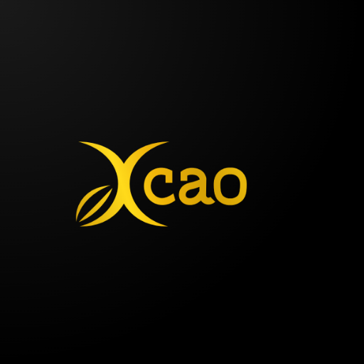 Xcao System Group